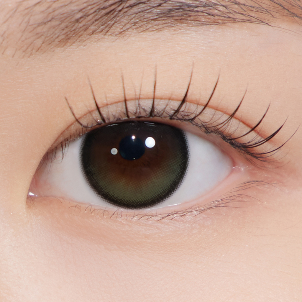 Secretive Kristin Plus 13.5 1Day Olive – eotd JP