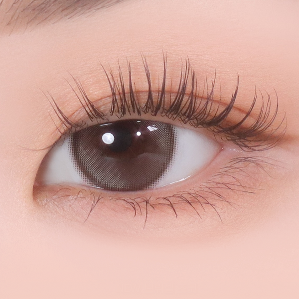 Demeter 13.0 1Day Brussel Choco – eotd JP