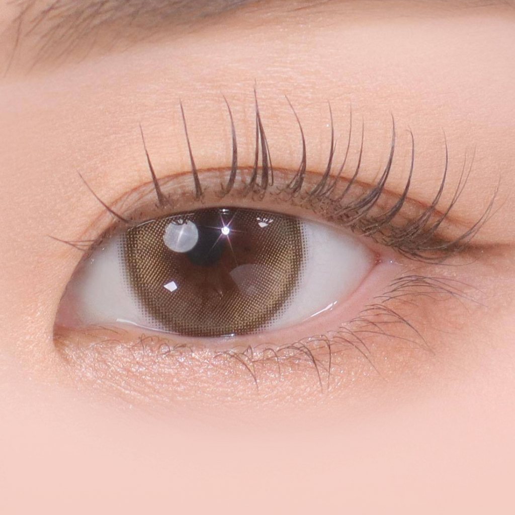 Demeter 1Day 13.5 Ash Brown