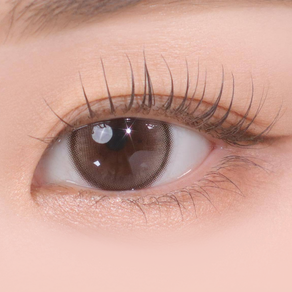 Demeter 1Day 13.5 Ash Choco – eotd JP