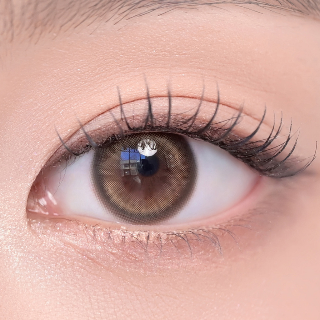 Lily Daze 1Day Sun Brown