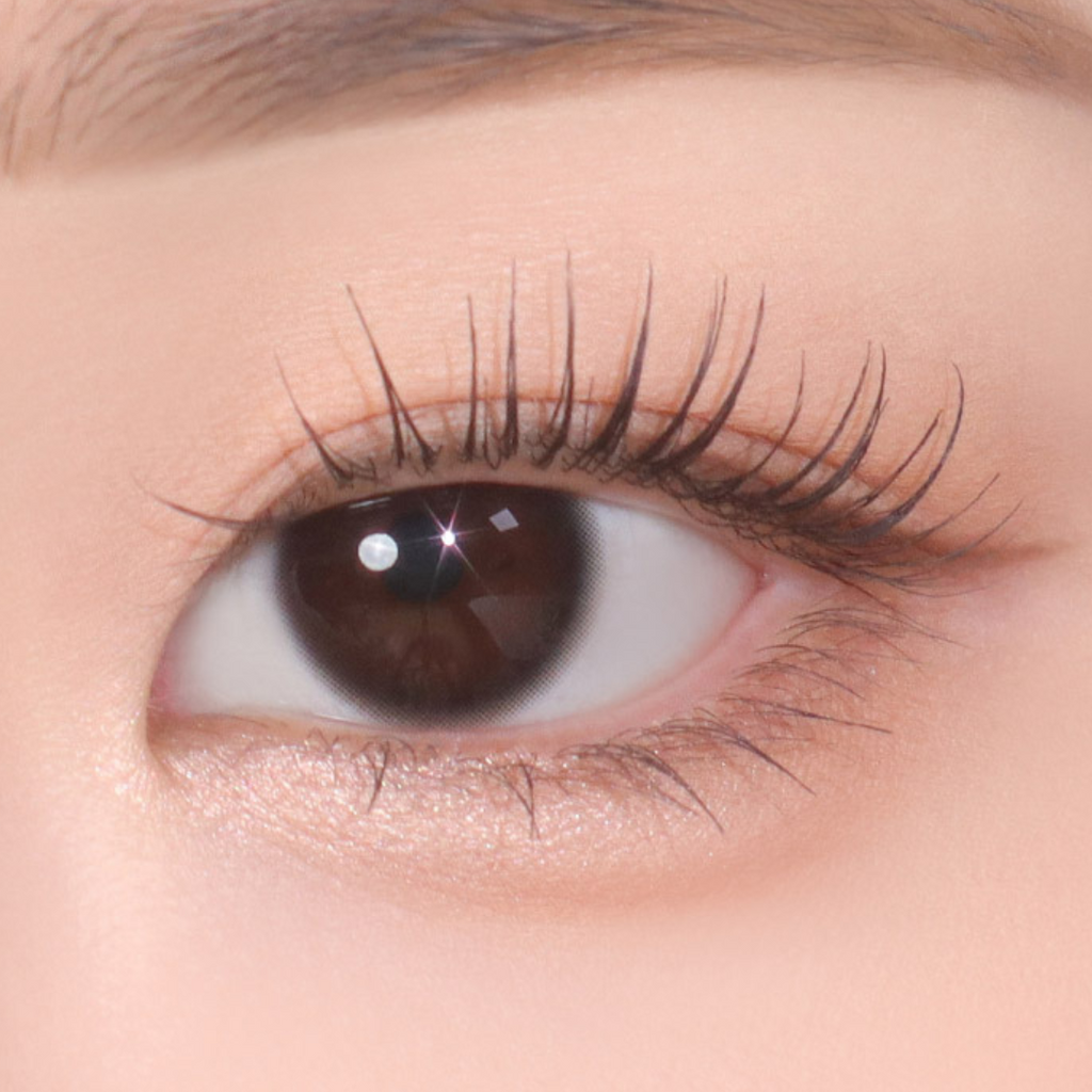 Classi Essential Black – eotd JP