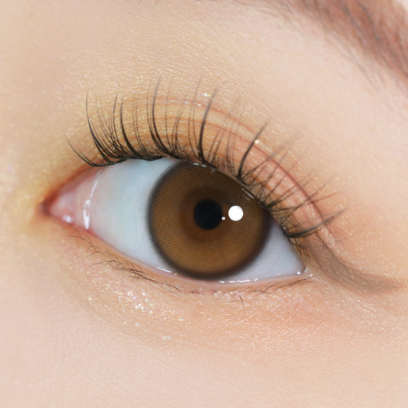 YURIAL 1DAY Water Brown