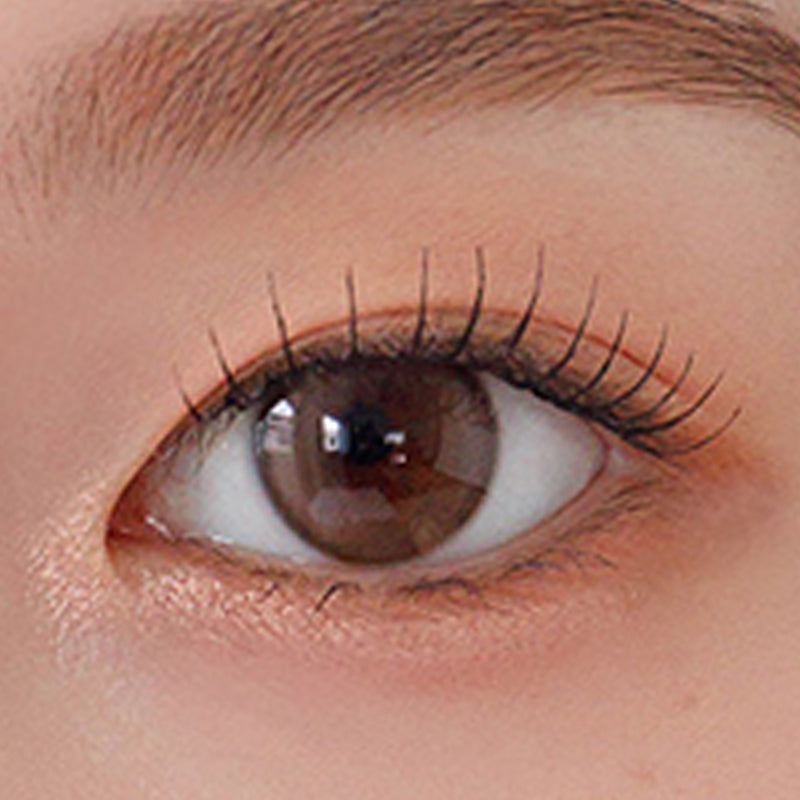 Sugar High Kristin 1day Ash Choco