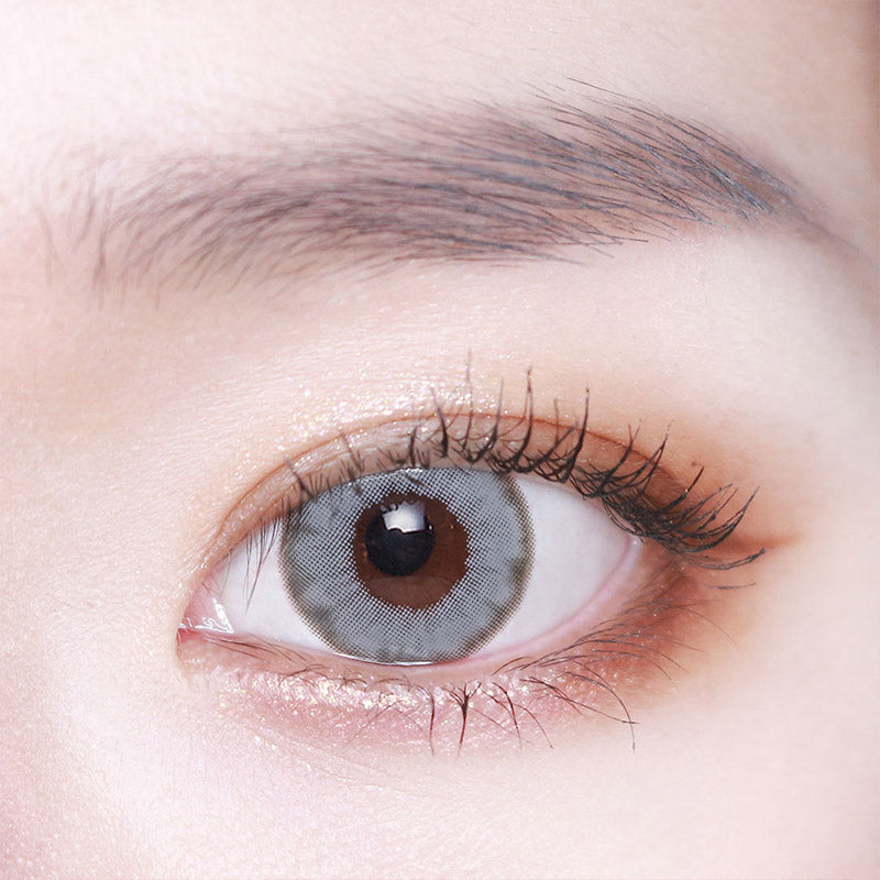 Wonder Eye 1Day Gray