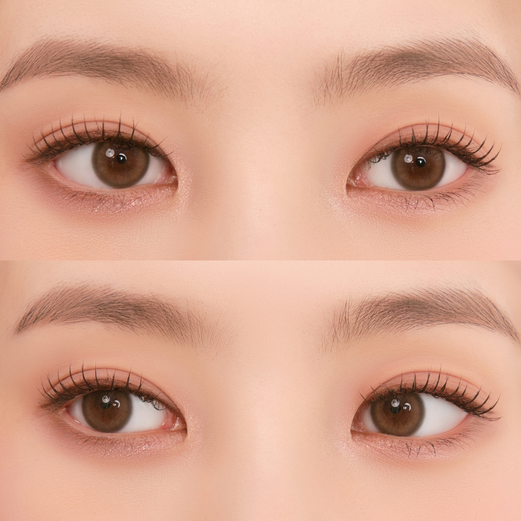 Pompon Pop 1Day Bubble Brown