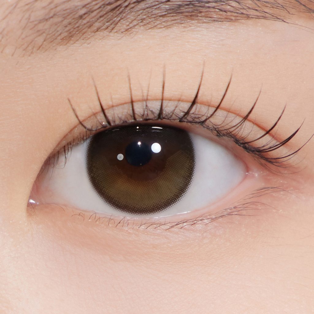 Secretive Kristin 1Day Creme Brown