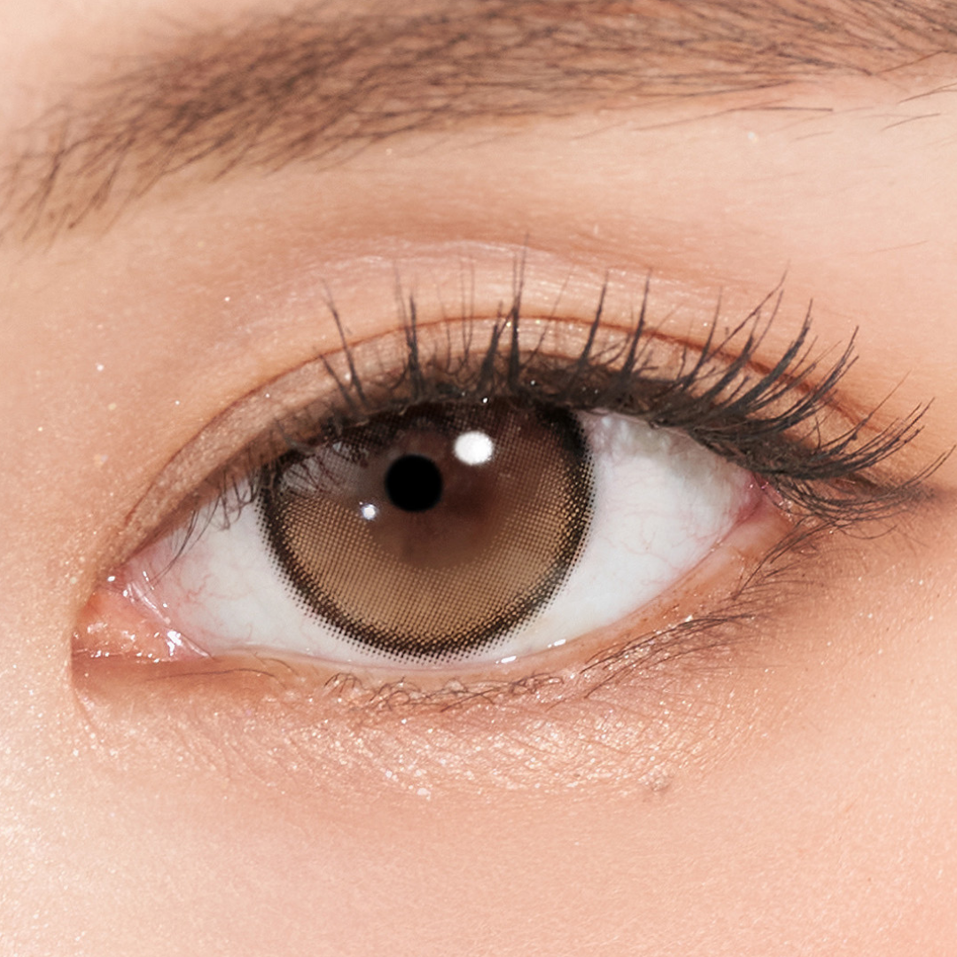 Secretive Kristin 1Day Antique Brown – eotd JP