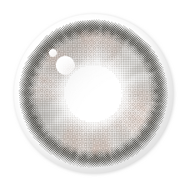 Susurro 1Day Dutch Gray