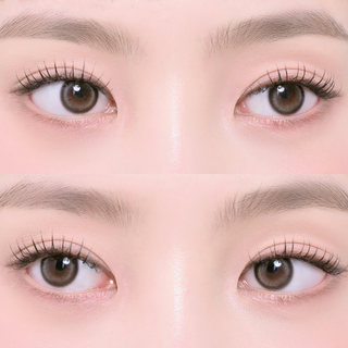 Lily Daze 1Day Sun Gray