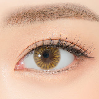 Ailleen Monthly Brown