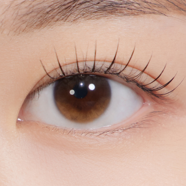 Secretive Kristin Basic Brown