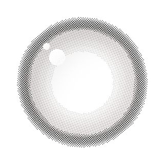 Aery Rose 1Day Lucid Gray