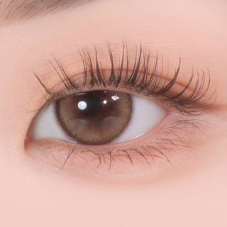 Demeter 13.0 1Day Sunset Brown