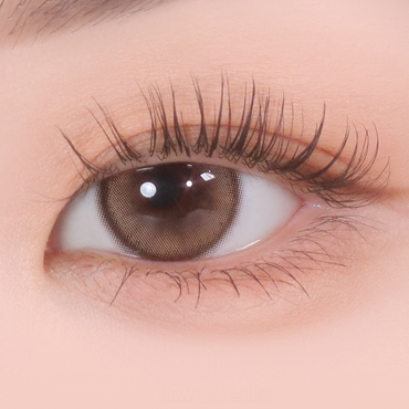 Demeter 13.0 1Day Sunset Brown