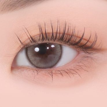 Demeter 13.0 1Day Pebble Gray