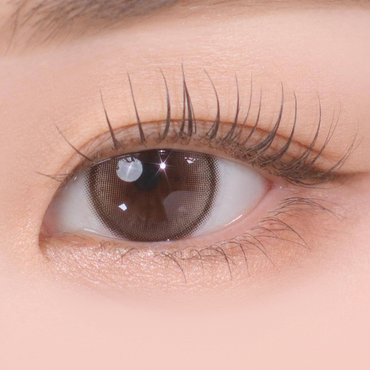 Demeter 1Day 13.5 Ash Choco