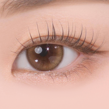 Demeter 1Day 13.5 Amber Brown