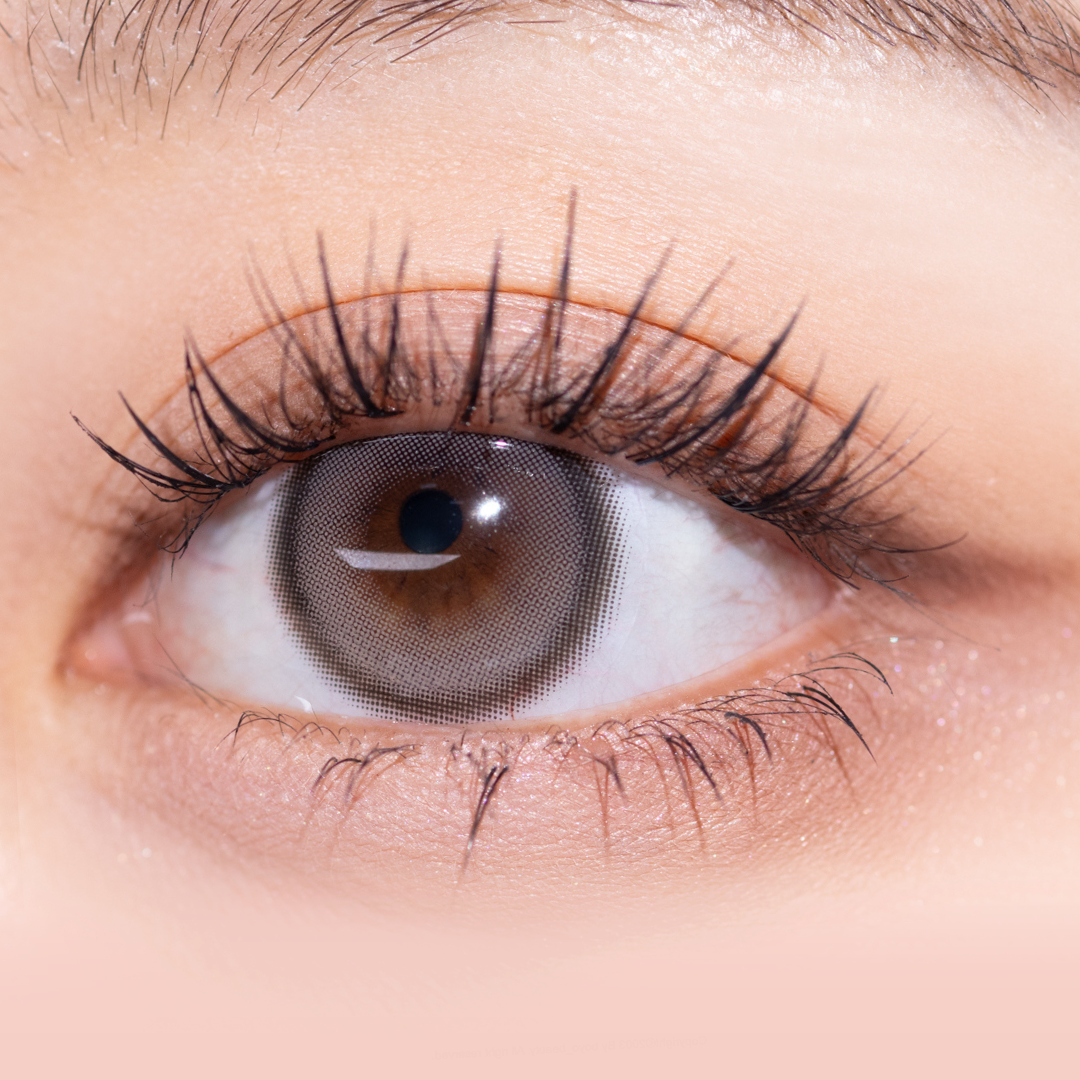 Hecate 1Day Taupe Gray – eotd JP