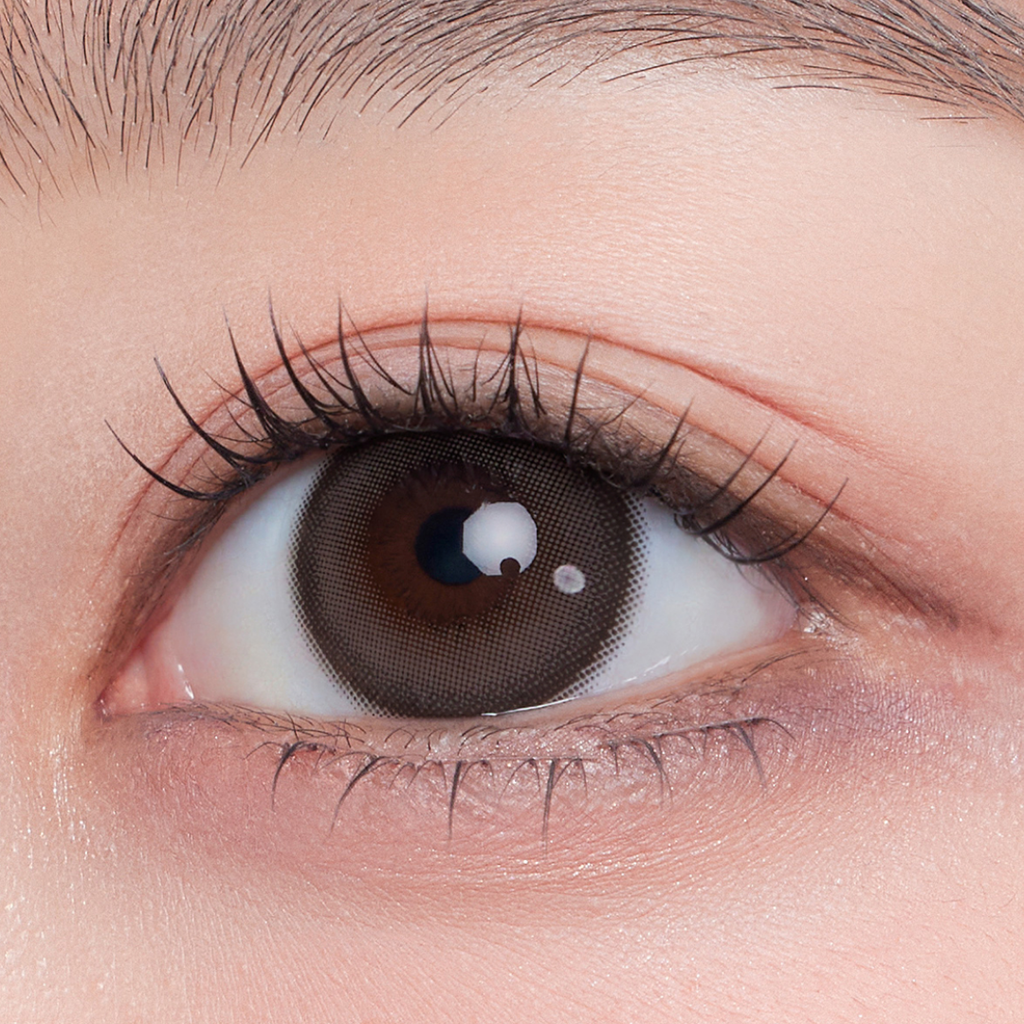 Milk & Tea 13.8 Monthly Cream Choco