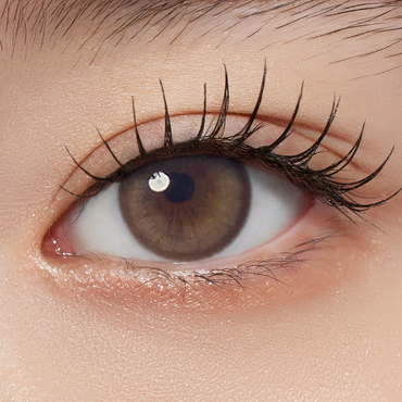 Vasto 1Day Harena Camel