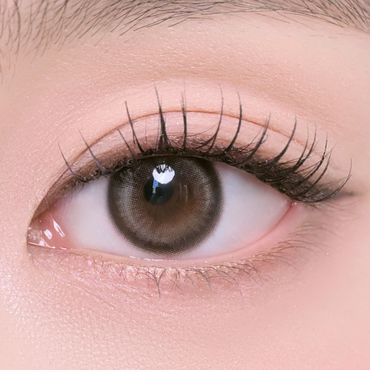 Lily Daze 1Day Sun Gray