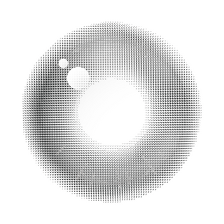 Aube Pie 1Day Moon Gray