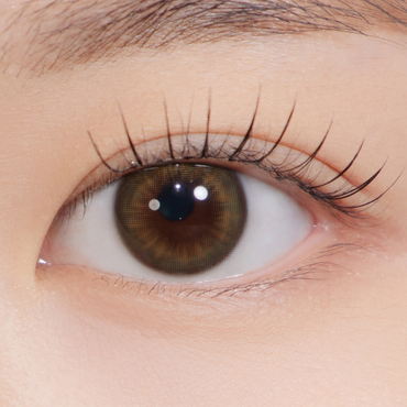 Bittersweet Kristin Monthly Olive Brown