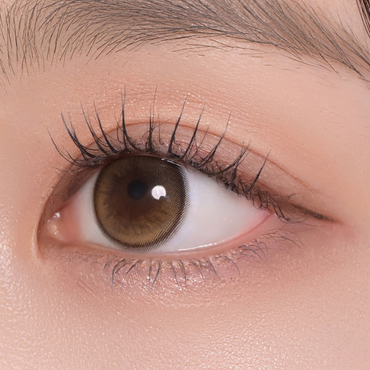 Daisy Shower 1Day Pure Brown