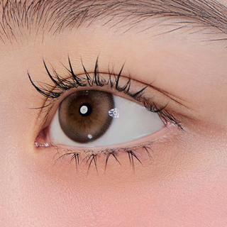 Mollis Monthly Nublo Brown