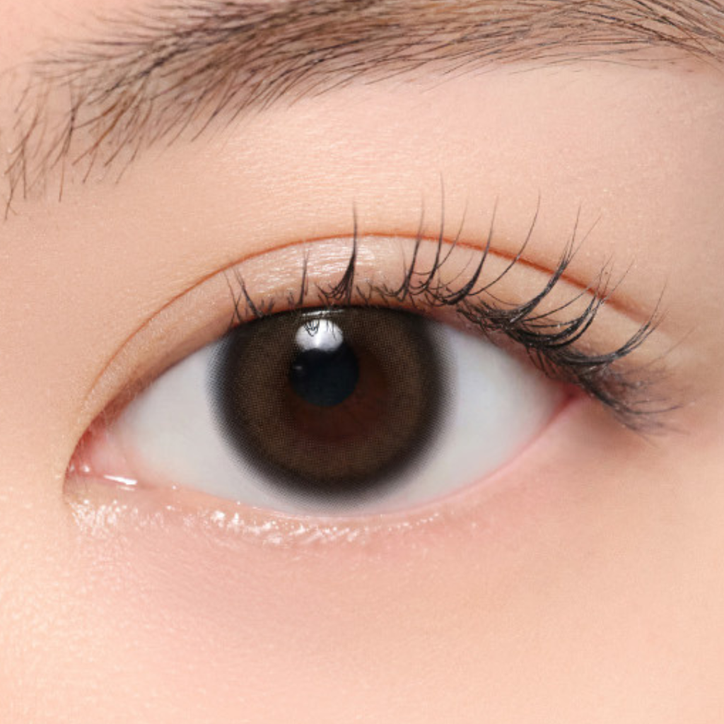 [Gift] Quiet Kristin Mini (2P) 1Day Glow Brown