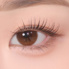 Classi Our Mocha – eotd JP