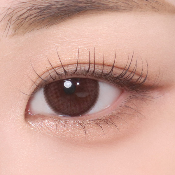 Classi Deep Mood Choco – eotd JP