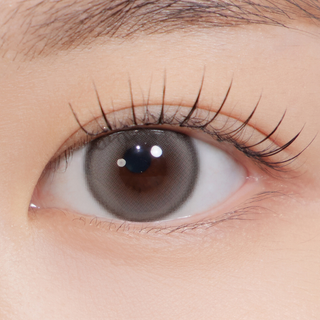 Sugar High Kristin Plus (13.6mm) Monthly Gray