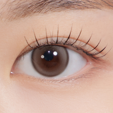 Sugar High Kristin 1day Ash Choco