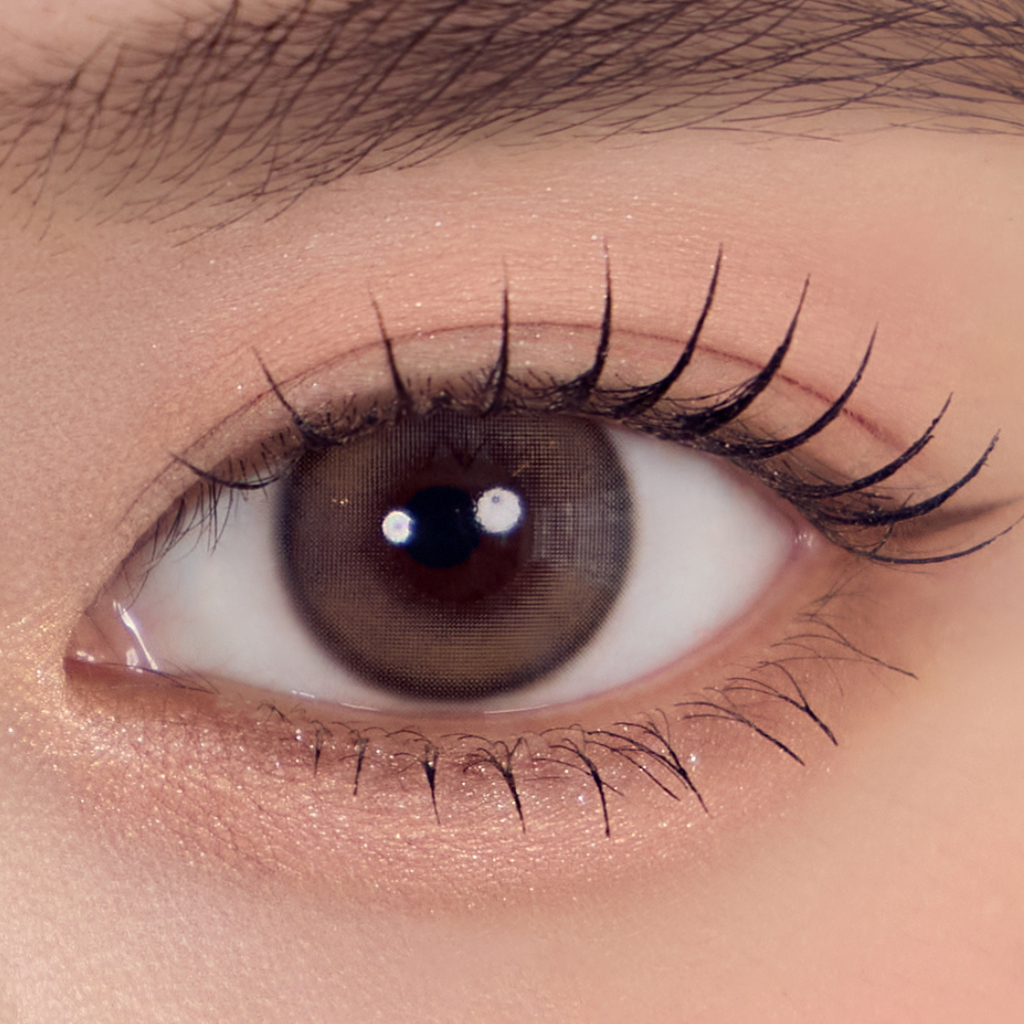 Melinoe 1Day Beige Brown – eotd JP