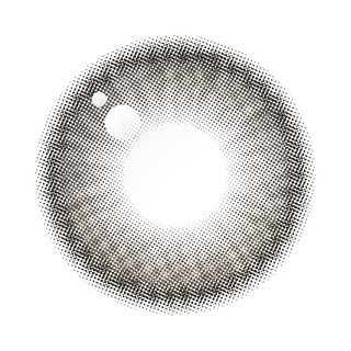New Dione 1Day Bone Gray
