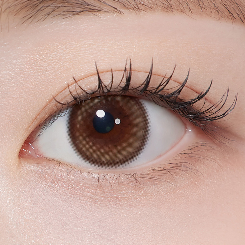 Dione 1Day Soft Brown