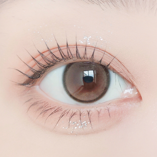 Bebe Monthly Brown