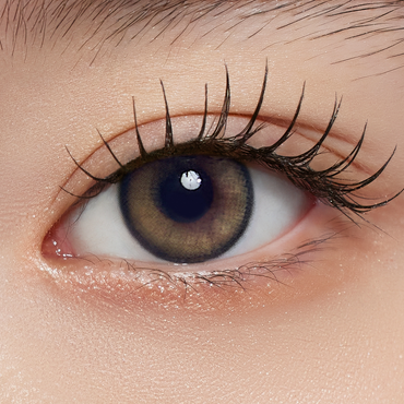 Lucir 1Day Signal Pine