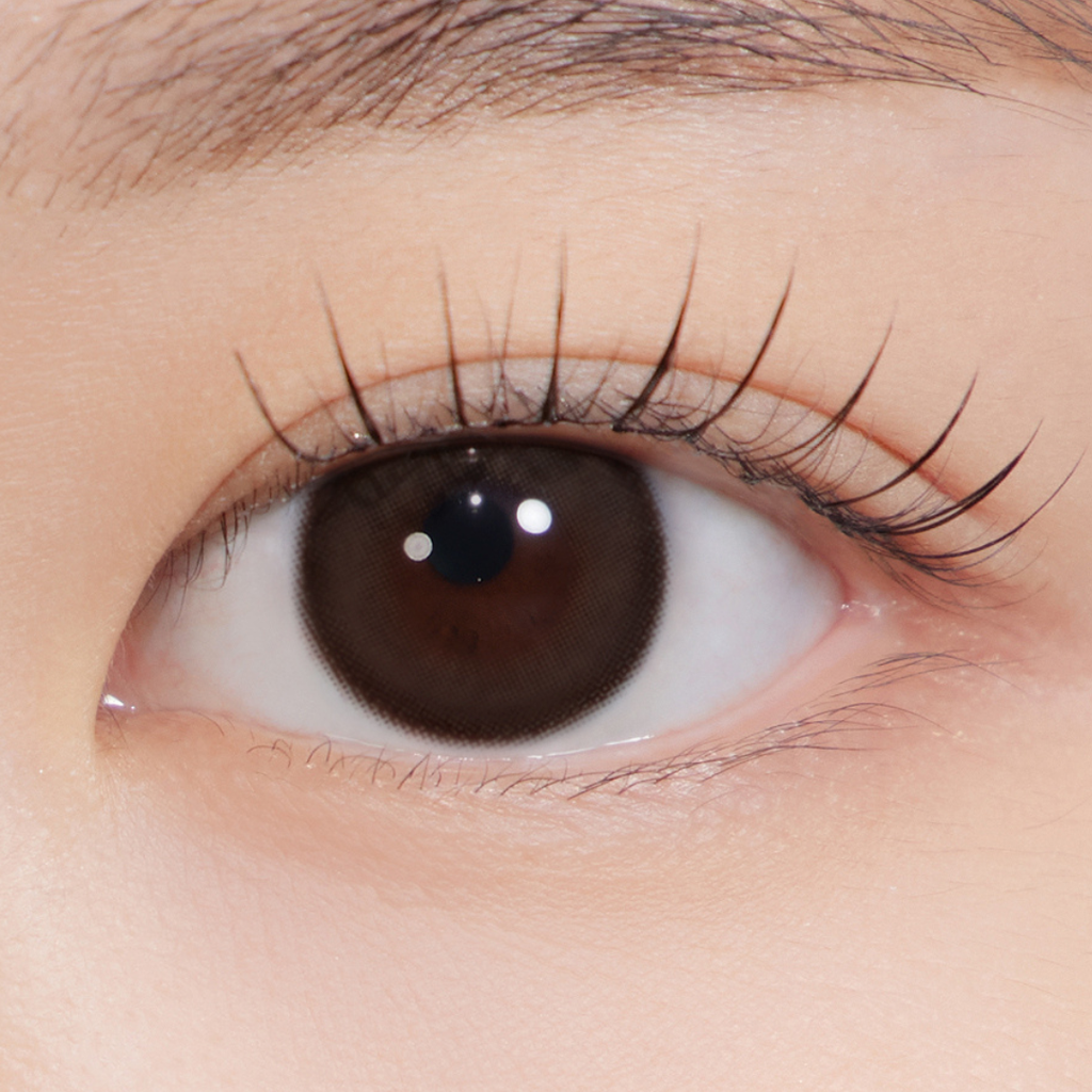 New See Through Kristin 1Day Choco