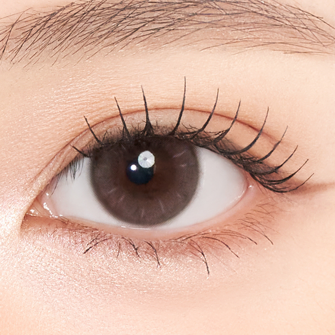 Thetis 1Day Rosy Brown – eotd JP