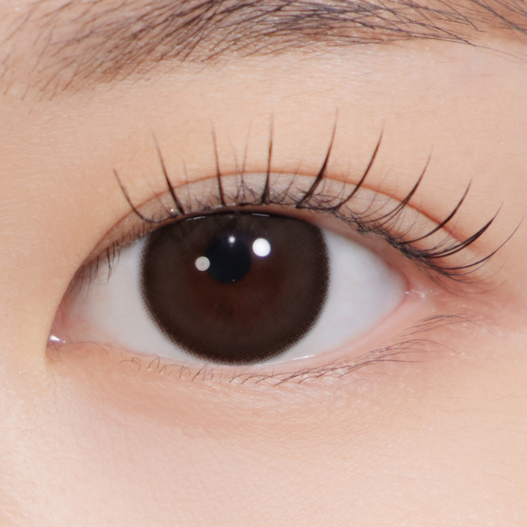 See Through Kristin Plus 1Day Choco