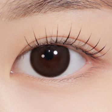 See Through Kristin Plus 1Day Choco