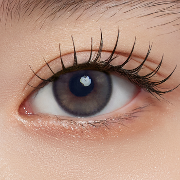 Susurro 1Day Dutch Gray