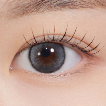 Dolly Kristin 1Day Gray