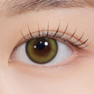 Cosmo Kristin 1Day Olive