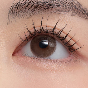 Fog Monthly Cinnamon Brown