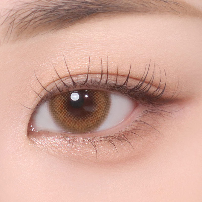 Classi Mystic Brown