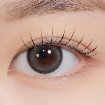 Bean Kristin Monthly Cold Brown